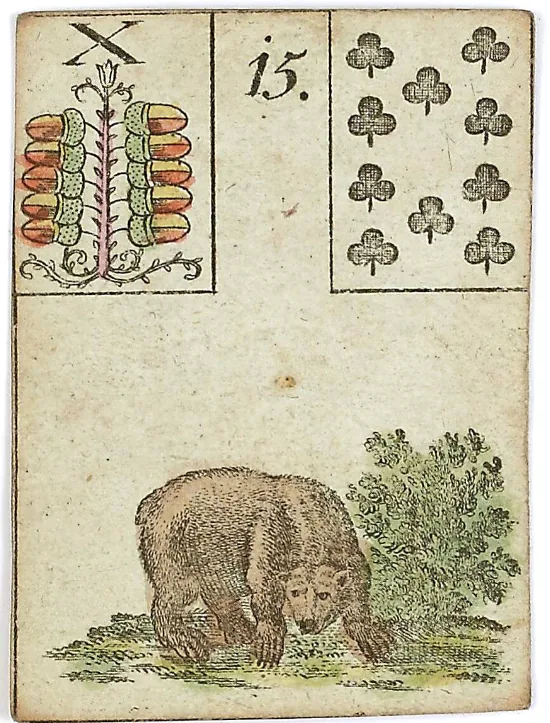 Bear