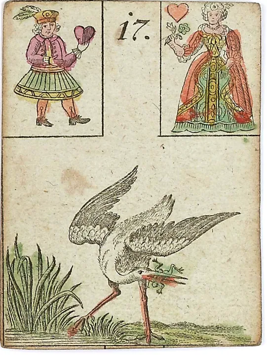 Stork